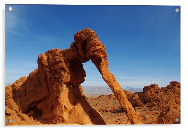 Elephant Rock, Valley of Fire, Nevada Acrylic by Claudio Del Luongo