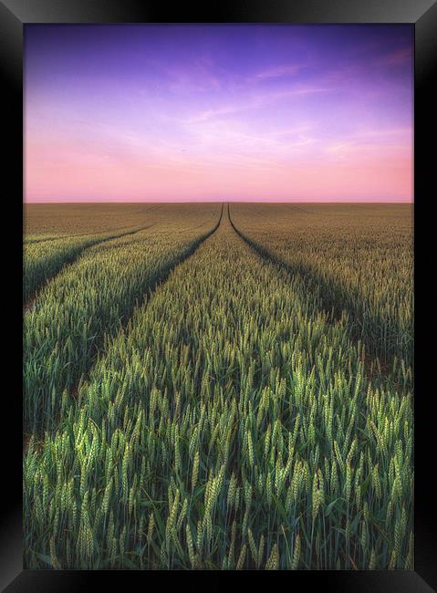 Tracks to No Where Framed Print by Michael Baldwin