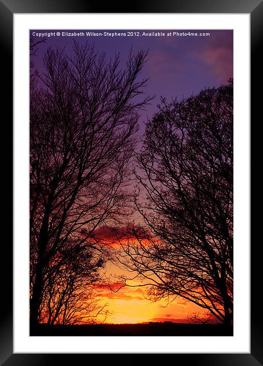 Sunset Framed Mounted Print by Elizabeth Wilson-Stephen