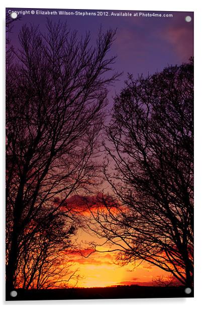 Sunset Acrylic by Elizabeth Wilson-Stephen