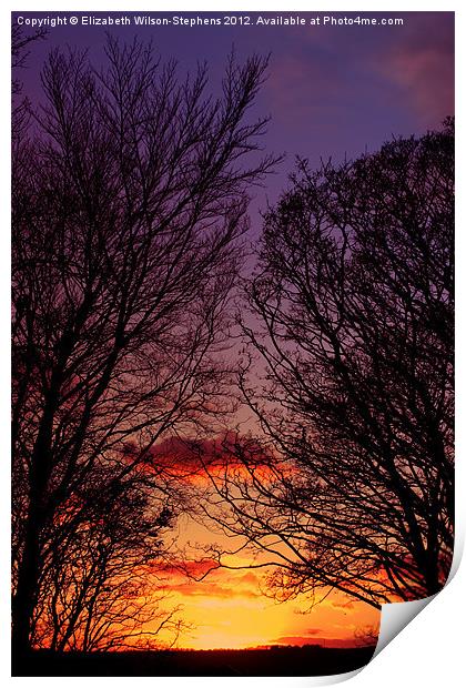 Sunset Print by Elizabeth Wilson-Stephen