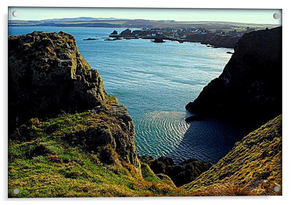 east coast scotland Acrylic by dale rys (LP)