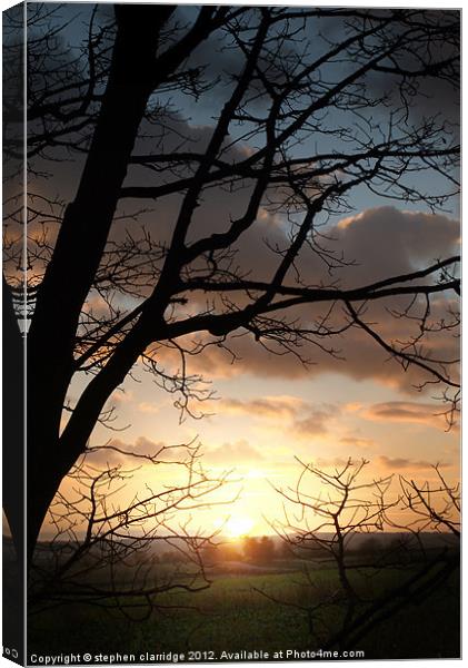 Sunset through the trees 1 Canvas Print by stephen clarridge
