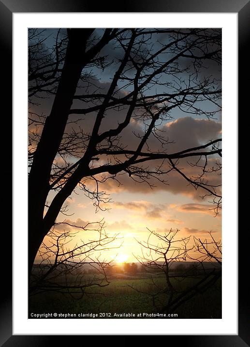 Sunset through the trees 1 Framed Mounted Print by stephen clarridge