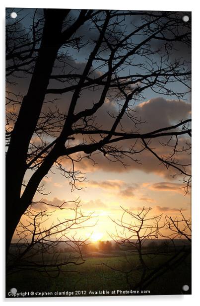 Sunset through the trees 1 Acrylic by stephen clarridge