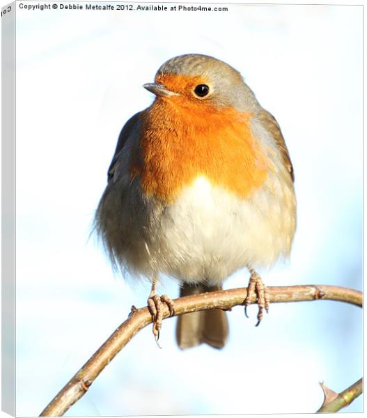 Pretty Little Robin Canvas Print by Debbie Metcalfe