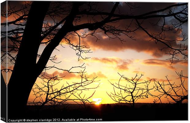 Sunset through the trees 2 Canvas Print by stephen clarridge