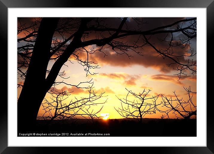 Sunset through the trees 2 Framed Mounted Print by stephen clarridge