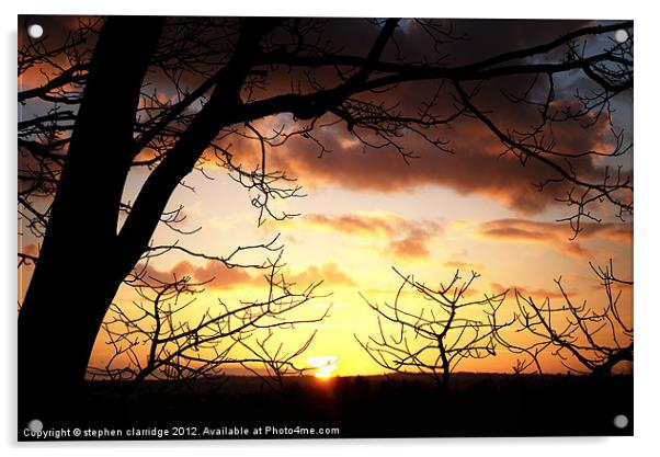 Sunset through the trees 2 Acrylic by stephen clarridge