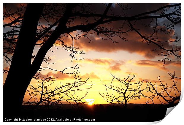 Sunset through the trees 2 Print by stephen clarridge