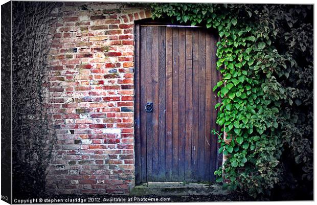 Old door with ivy Canvas Print by stephen clarridge