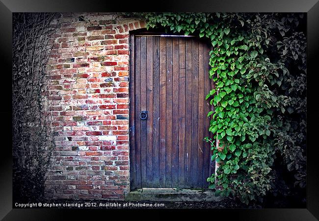 Old door with ivy Framed Print by stephen clarridge