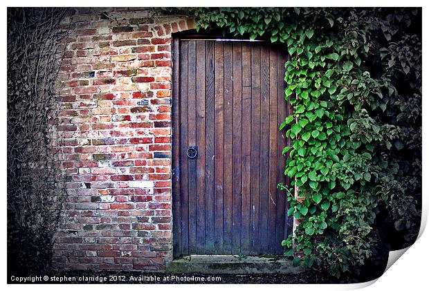 Old door with ivy Print by stephen clarridge