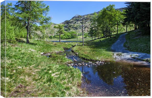 Pathway to Blea Tarn Canvas Print by Roger Green