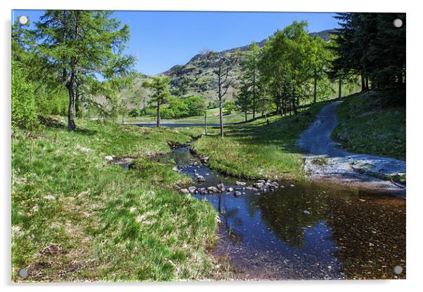 Pathway to Blea Tarn Acrylic by Roger Green