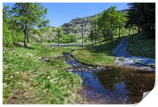 Pathway to Blea Tarn Print by Roger Green