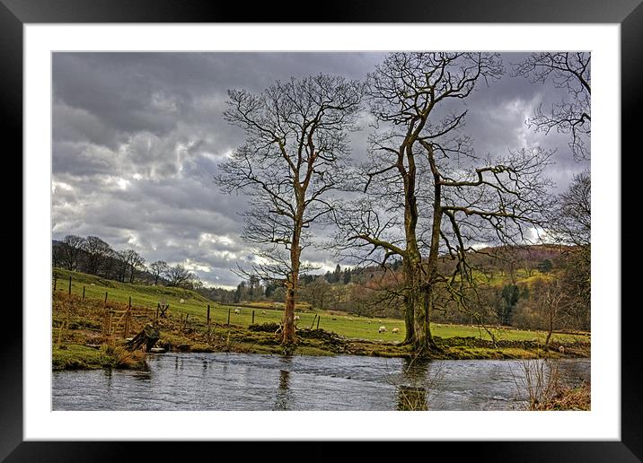 The River Rothay Framed Mounted Print by Tom Gomez