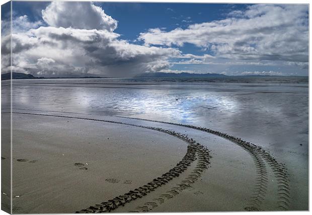 Tracks in the sand Canvas Print by Richard Thomas