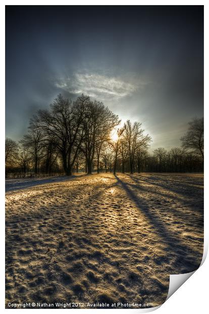Sunset snow trees Print by Nathan Wright