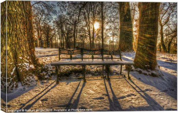 Coolest seats Canvas Print by Nathan Wright