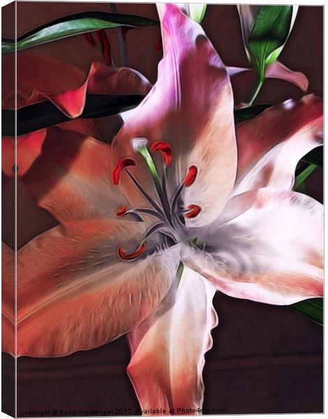 Lily Canvas Print by Fiona Messenger