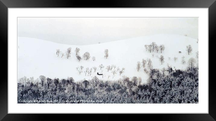 Winter in Paltinis Sibiu Romania Framed Mounted Print by Adrian Bud