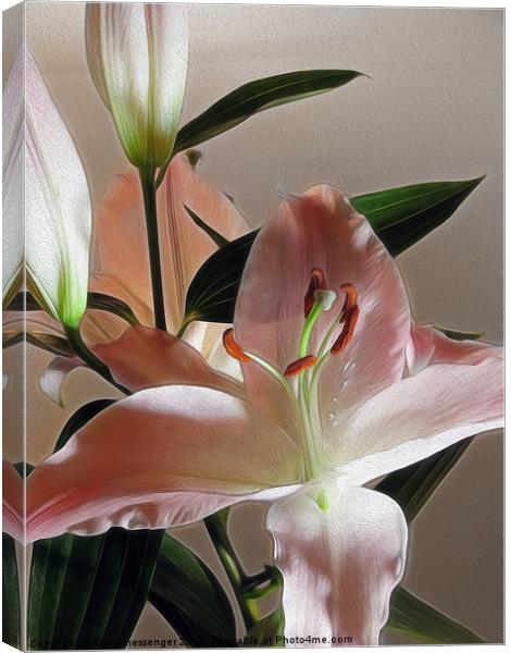 Lily 2 Canvas Print by Fiona Messenger