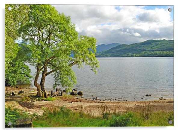 Loch Lomond Scotland Acrylic by Diana Mower