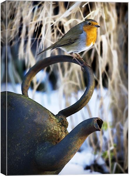 ROBIN AND KETTLE Canvas Print by Anthony R Dudley (LRPS)