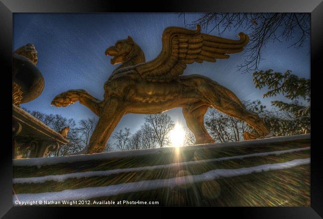 Golden griffin Framed Print by Nathan Wright