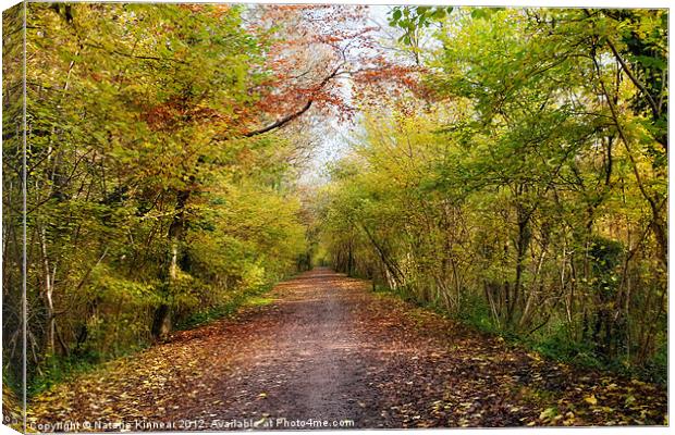 Pathway through Sunlit Autumn Woodland Trees Canvas Print by Natalie Kinnear