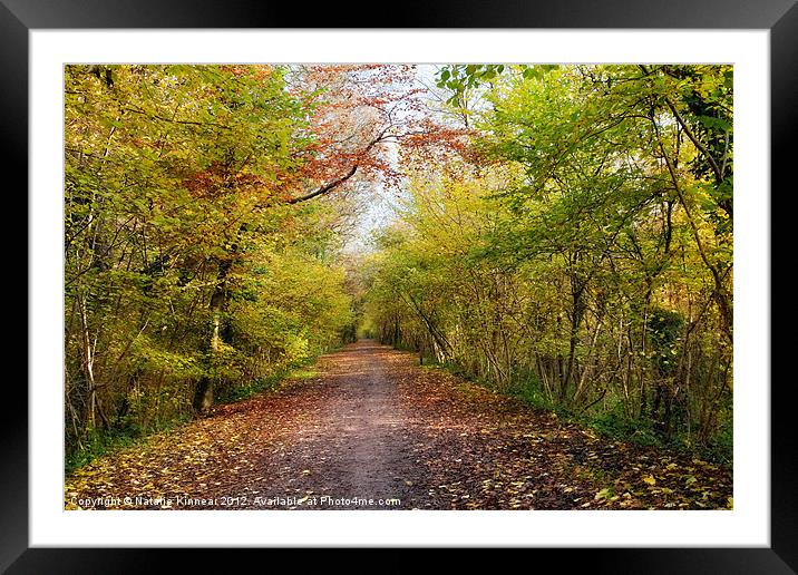 Pathway through Sunlit Autumn Woodland Trees Framed Mounted Print by Natalie Kinnear