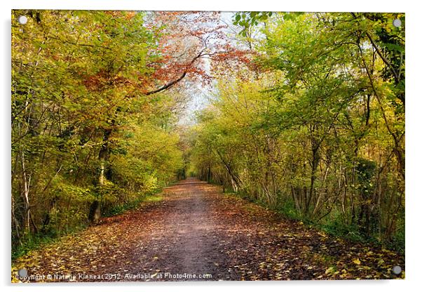 Pathway through Sunlit Autumn Woodland Trees Acrylic by Natalie Kinnear