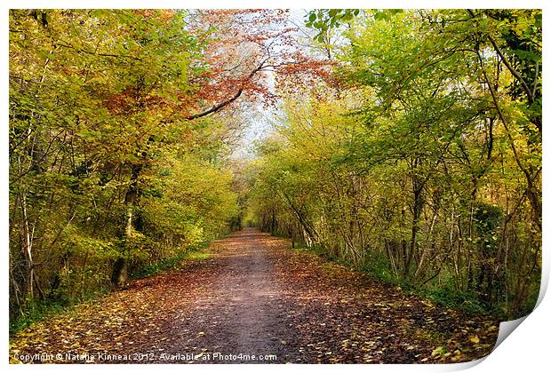 Pathway through Sunlit Autumn Woodland Trees Print by Natalie Kinnear