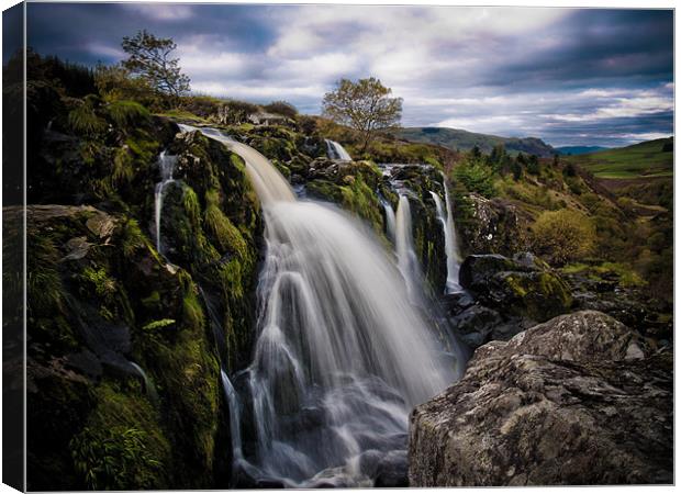 The Loup of Fintry, Carron Valley, Scotland Canvas Print by Louise Bellin