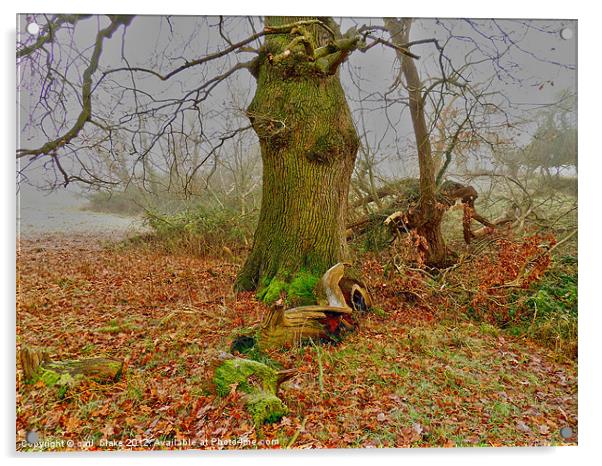 winters oak Acrylic by carl blake