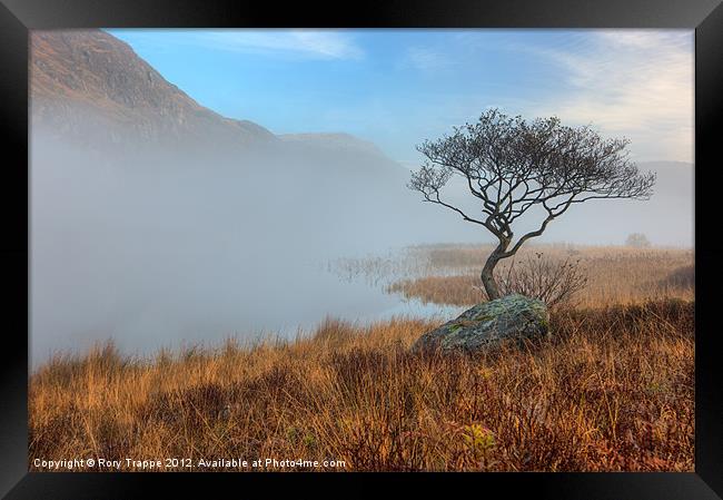 Llyn Dinas misty morning Framed Print by Rory Trappe