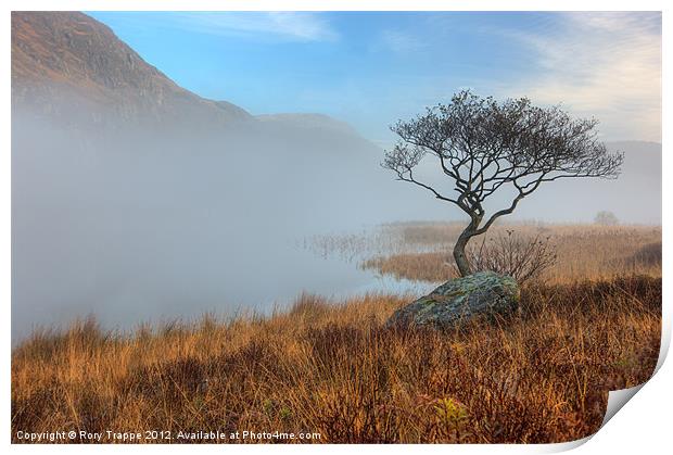 Llyn Dinas misty morning Print by Rory Trappe