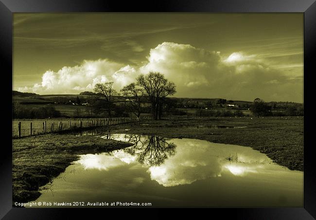 Golden Reflections of the Flood Framed Print by Rob Hawkins