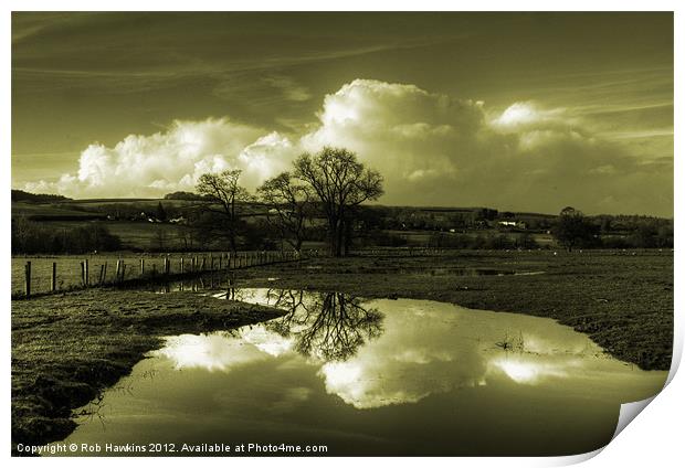 Golden Reflections of the Flood Print by Rob Hawkins