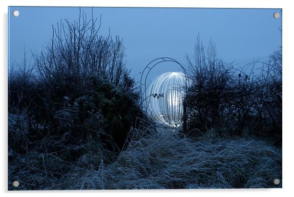 Mr Frost Acrylic by Gavin Wilson