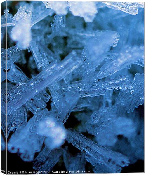 Ice Crystals Macro Canvas Print by Brian  Raggatt