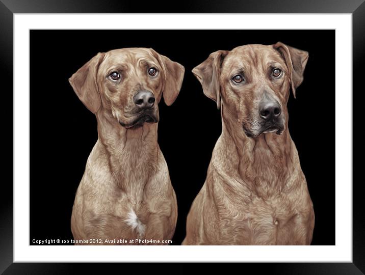 BEST OF FRIENDS Framed Mounted Print by Rob Toombs