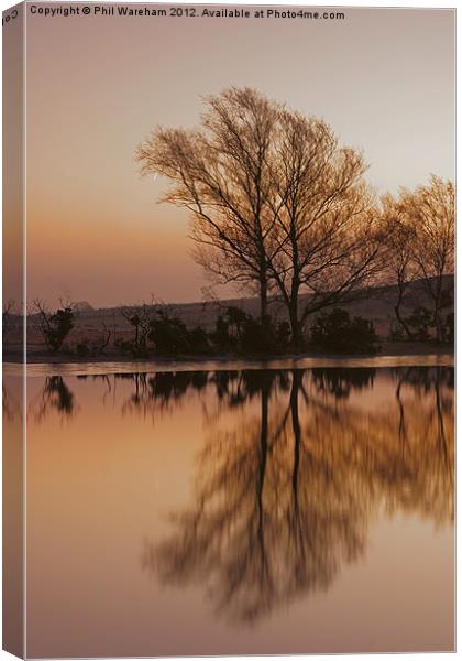 Whitten Pond New Forest Canvas Print by Phil Wareham