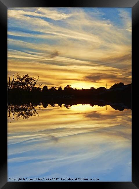 Streaks of Gold Framed Print by Sharon Lisa Clarke