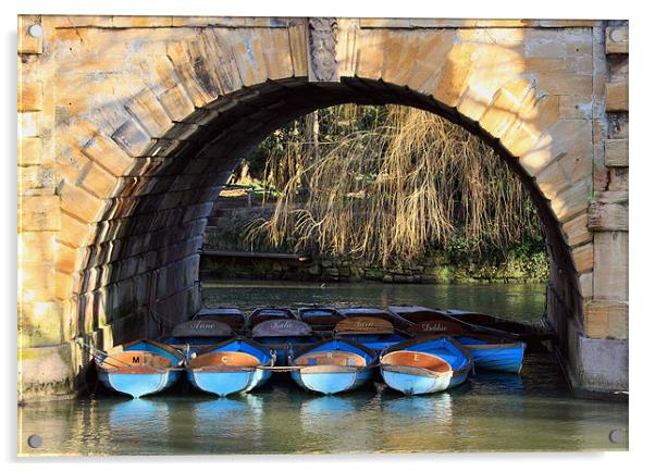 oxford rowing boats Acrylic by Tony Bates