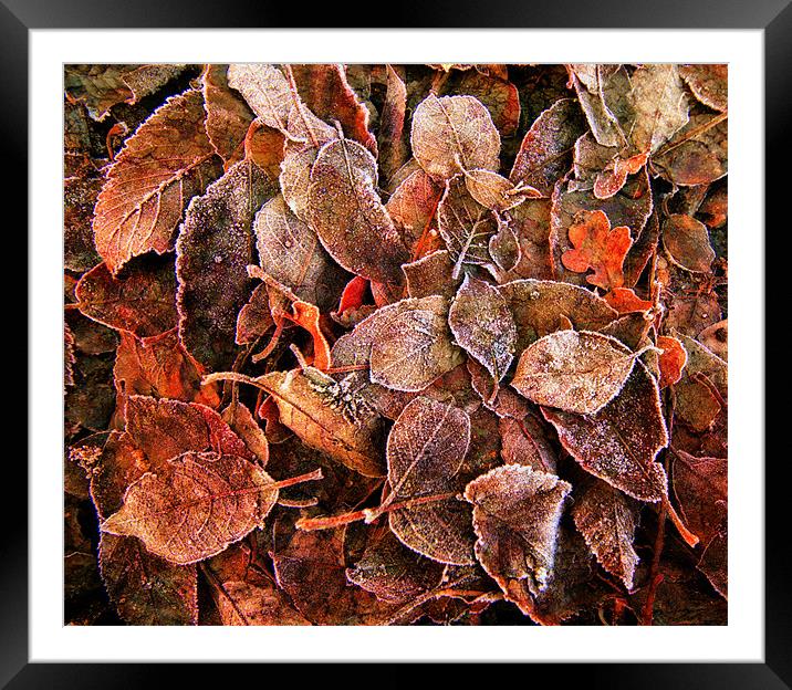 The Leaves Upon The Ground Framed Mounted Print by Chris Manfield