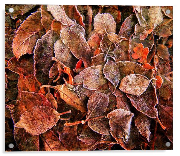 The Leaves Upon The Ground Acrylic by Chris Manfield