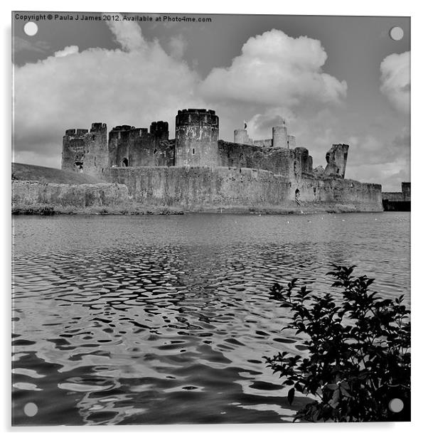 Caerphilly Castle Acrylic by Paula J James