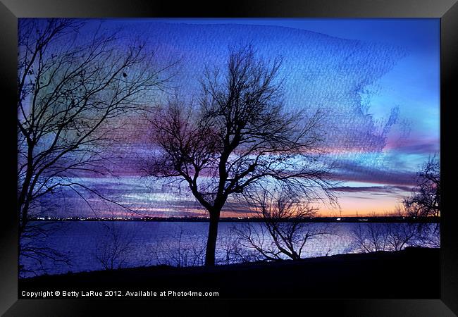 End of Day Framed Print by Betty LaRue